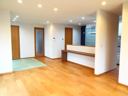 アメリカンスイッチ　カラー建具